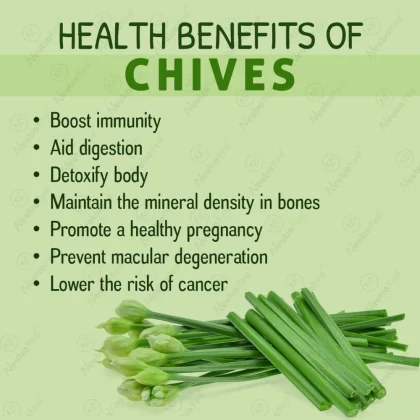Chives Leaves image 4